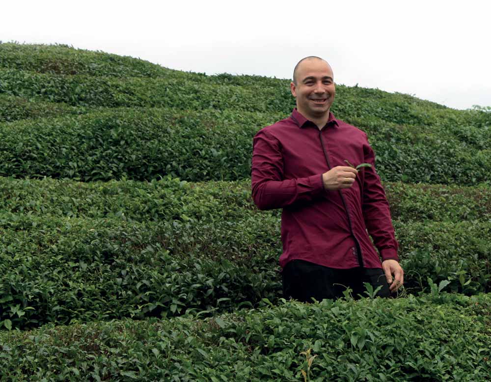 Stéphane Lagarde fondateur de Filéane dans un champs de thé